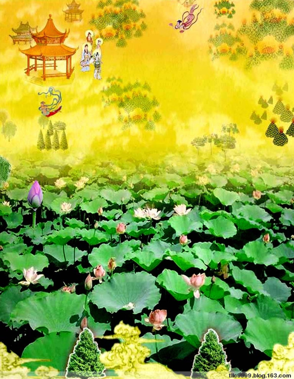 索達吉堪布關於極樂世界的答疑