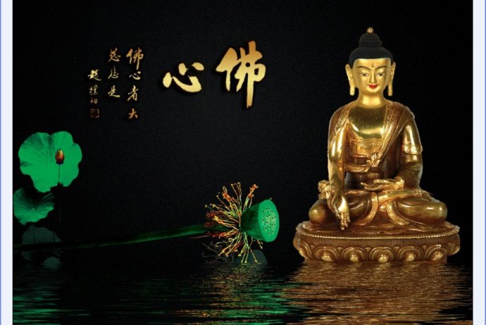 達真堪布：慧中生定有什麼特點