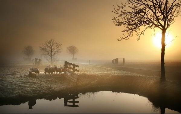 達真堪布：我該如何走出這種困境？