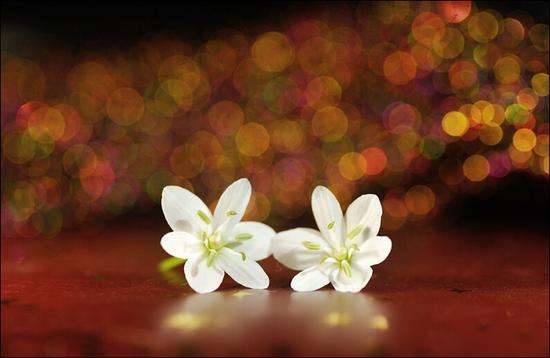 宏圓法師：分別一切法，不著分別想