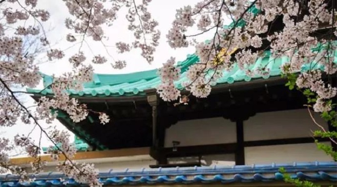 獨尊湛現：用一顆謙虛的心，來吸收無量的智慧