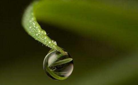 達真堪布：有三類因果成熟最快，基本都是現世成熟現世報！