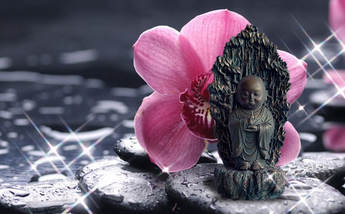 嚴持戒律廣修福德，方能能生起切實的信心