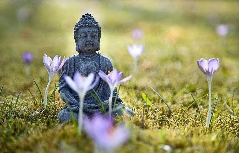 凈慧長老：心外無別佛，心外無別法，心外了無一物