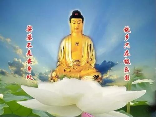 工作生活兩不誤，平時訓練往生的兩個妙法