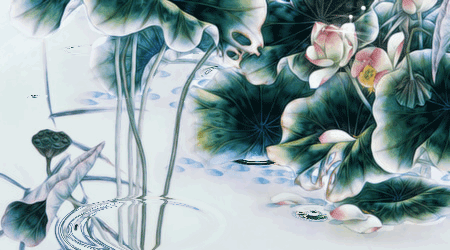 大安法師：念阿彌陀佛極樂世界就有我們一朵蓮花嗎?