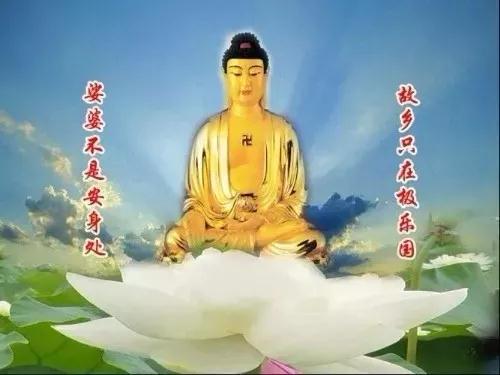 看破篇：人生如同泥鰍鑽豆腐