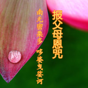 報父母恩咒全文，念報父母恩咒怎麼迴向？