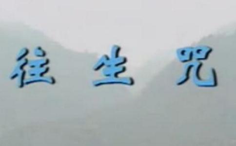 往生咒（拔一切業障根本得生凈土陀羅尼）