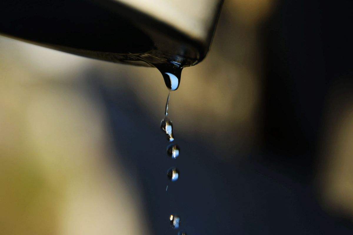 宏圓法師：莫輕小惡以為無殃，水滴雖微漸盈大器