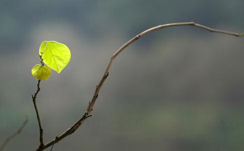 賢崇法師：企業家，你真的成功了嗎？