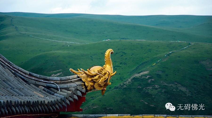 達真堪布：學佛怎樣才能得到人天福報？