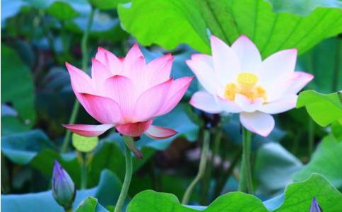 如瑞法師：從生活的點點滴滴中學佛！