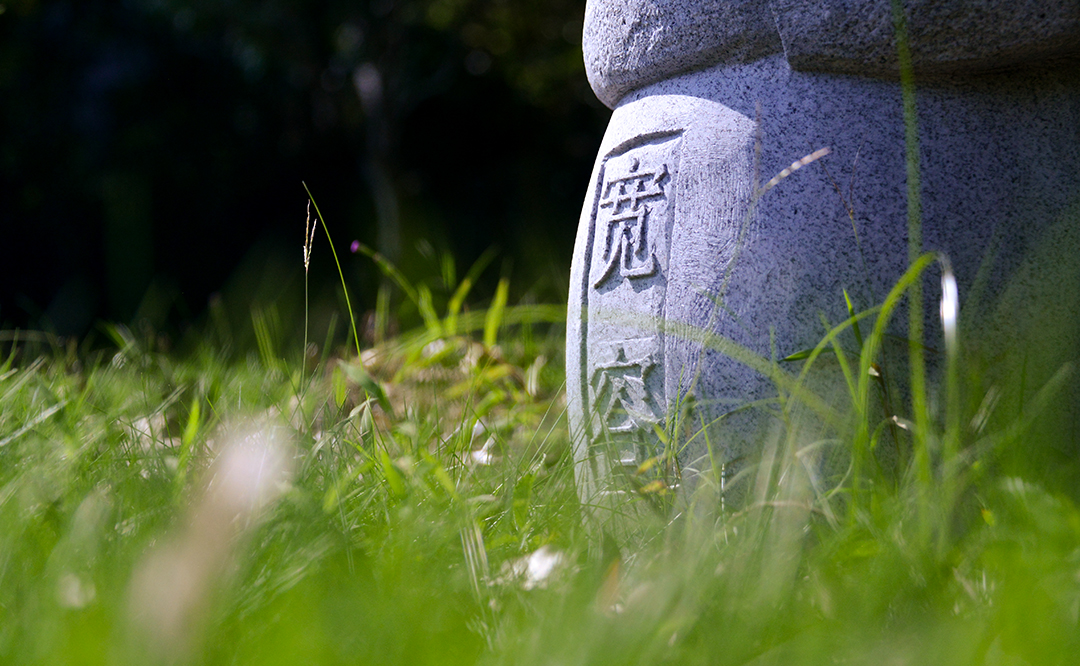 是什麼決定了你的境界和氣量