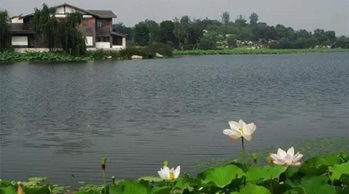 獨尊湛現：放生應該用什麼心態來做？