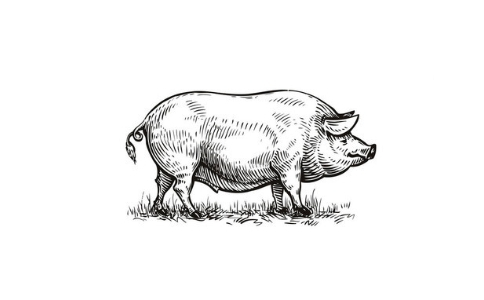 可以念往生咒給菜市場被殺的動物嗎？