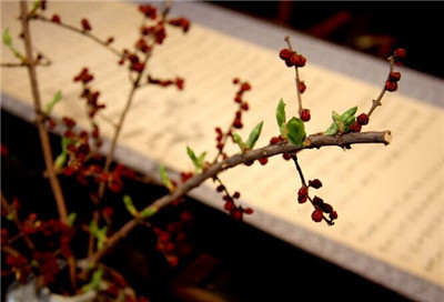 母音老人答：《金剛經》說：『無人相，無我相』。誰說誰聞？