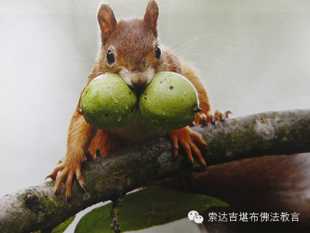 受了菩薩戒的人，能否評說他人的過失？