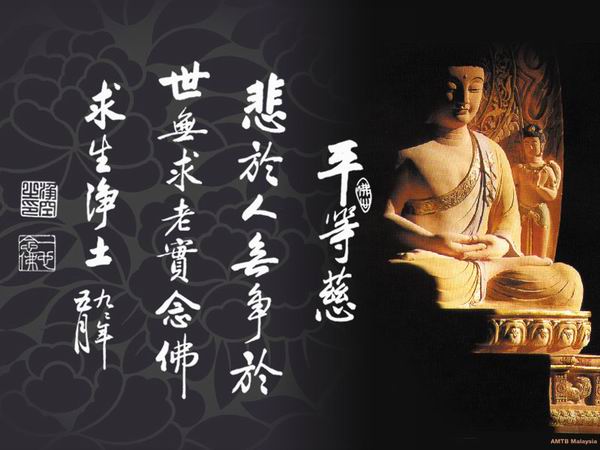 伺候老人必須喂肉？會不會有果報？