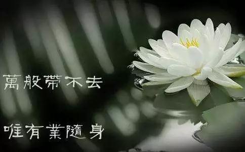 慧律法師：所有的不開心都是要付費的，不開心很損福報