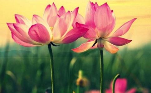 達真堪布：想布施，又怕失去財富