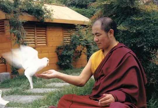 學誠法師：如何對待身邊的「害蟲」？