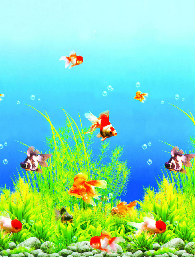 凈土法門法師：當前社會孩子的教育為什麼這么難？