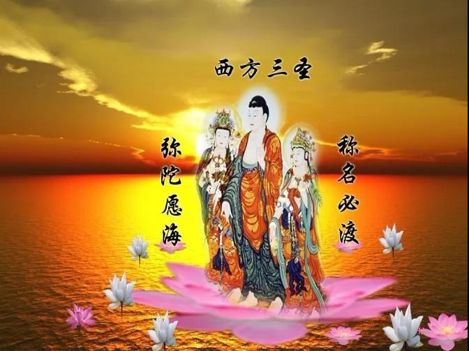 念一句阿彌陀佛，給一粒米，看似無情勝有情！