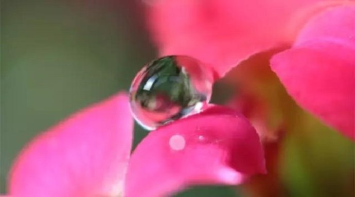 獨尊湛現：愛慕虛榮與情執心，對我們人生是最大的傷害