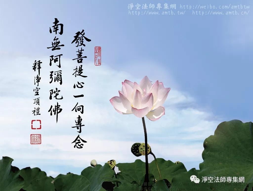 凈土法門法師：真學佛，要學著放下