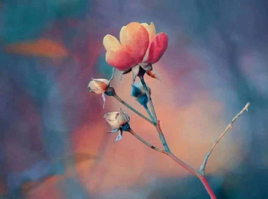 仁禪法師：天生口中散發香氣？聽他講法布施的十種功德