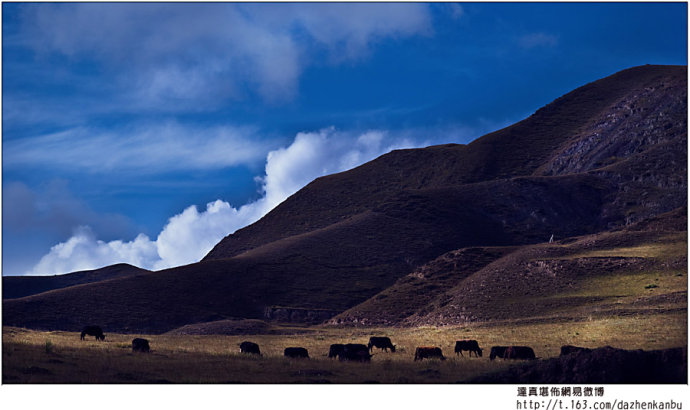 達真堪布：八關齋戒中，晚上洗澡可以能塗抹香皂嗎？