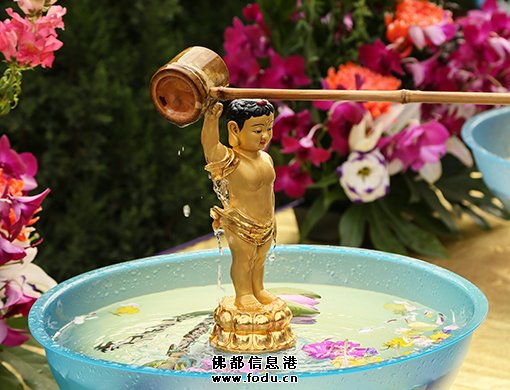 請問師父，什麼是「四不壞信」？