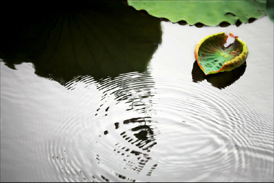 沒有聞思基礎就去打坐，小心走火入魔