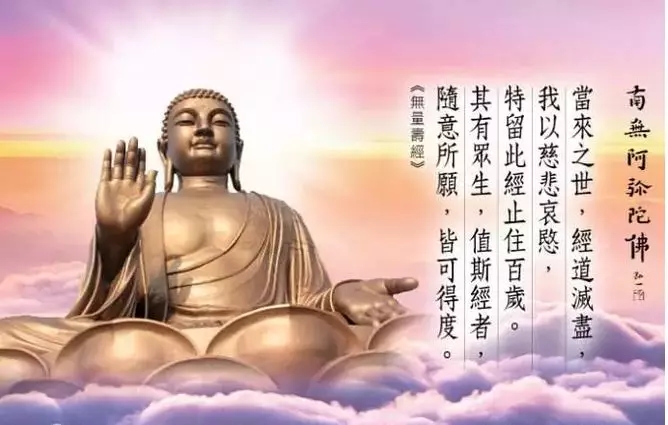 修行成敗，總在遇緣不同，兩匹狼截然不同的命運