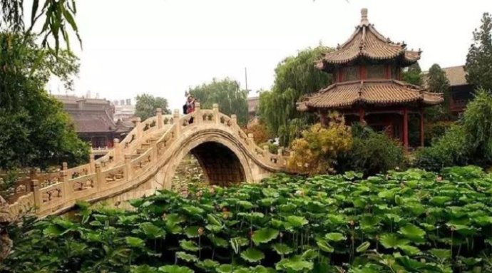 獨尊湛現：為什麼修行要一門深入呢？