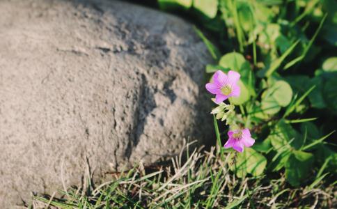 《圓覺經》中「垢盡對除」的「對」字是什麼意思？