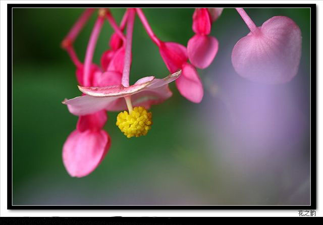 人的慾望追求何時是盡頭？