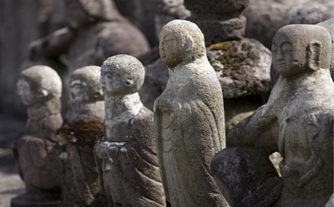 【感化】是什麼意思？感化的意思