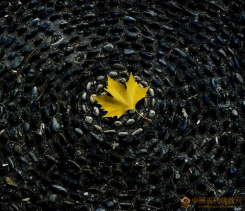 慧律法師：如何懺悔以前的過失