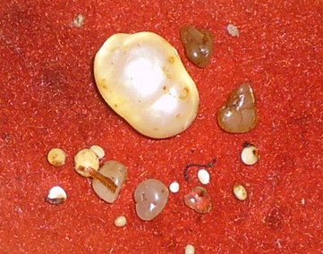 法身舍利是什麼？