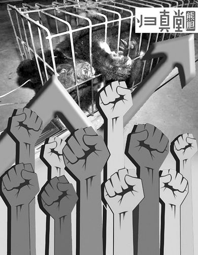 「活熊取膽」引爭議 70名人上書反對歸真堂上市