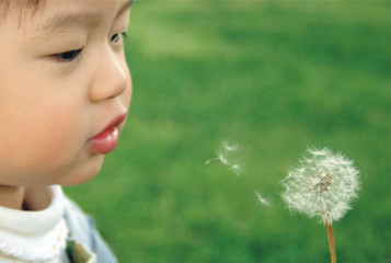 子孝也能改變父母