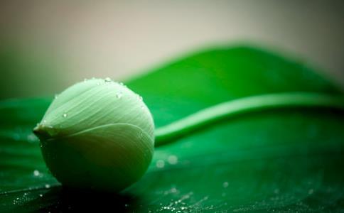 推船入江壓死蝦螺，究竟是誰之過？