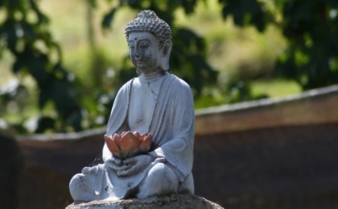 佛前供果，是買多少供多少，還是挑幾個做代表就行？