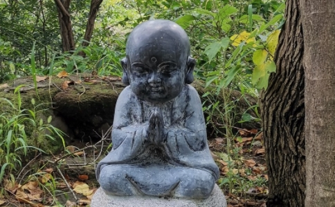 為什麼說正念禪是智慧禪？如何來修習？