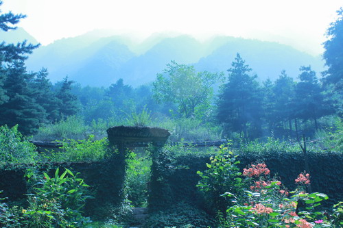 凄慘的輪回：明朝末年「菜人」的悲慘經歷