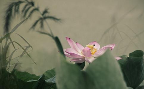 佛教所說的【自在】是指什麼？佛教自在的意思