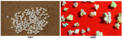 舍利子與舍利花有何區別？什麼人才有舍利花？