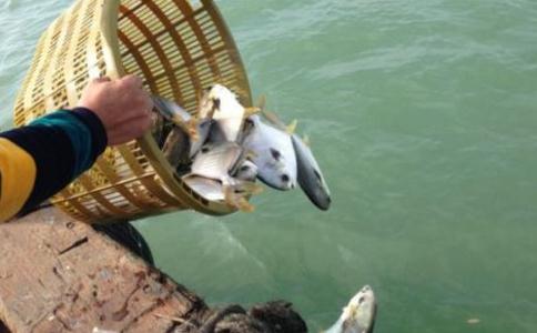 學會放生也放自己一生